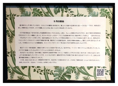 スタバ